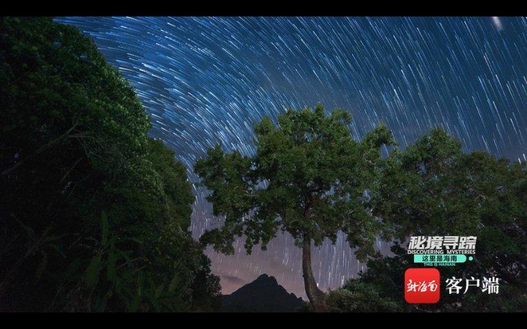 逃离荒废房屋