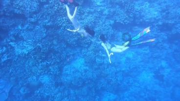 公主烹饪蛋糕